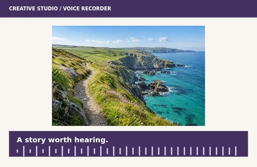 Voice recorder example
